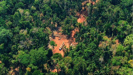 Saiba mais sobre este certame aberto no Mato Grosso. - Fotos Públicas