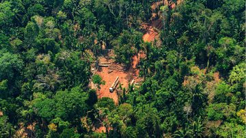 Saiba mais sobre este certame aberto no Mato Grosso. - Fotos Públicas