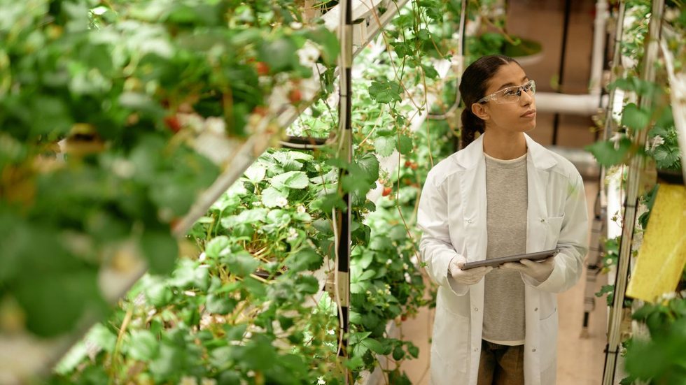 ICMBio abre novos seletivos públicos - Foto: Adobe Stock