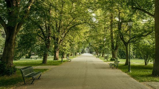 Veja este concurso no Mato Grosso do Sul - Foto: Adobe Stock