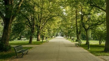 Veja este concurso no Mato Grosso do Sul - Foto: Adobe Stock