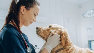 Os contratados terão uma jornada de trabalho de 44 horas semanais. - Foto: Adobe Stock
