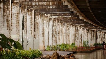 Veja este concurso no Distrito Federal - Foto: Adobe Stock