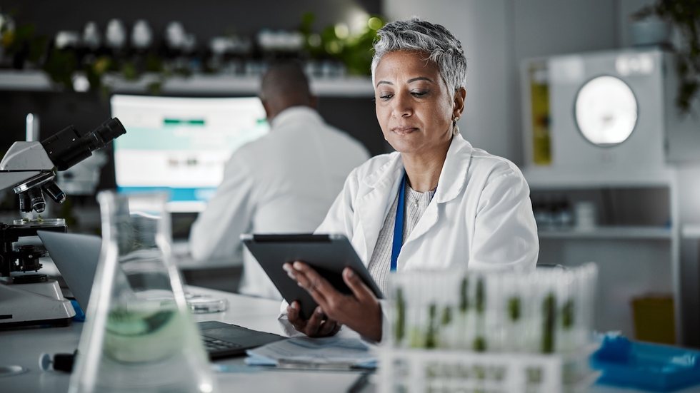 A prova prática do concurso da Embrapa já tem uma previsão para ser realizada. - Foto: Adobe Stock