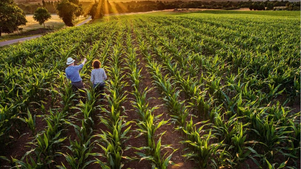 Veja este concurso no Rio Grande do Norte - Foto: Adobe Stock