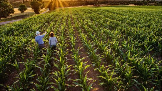 Veja este concurso no Rio Grande do Norte - Foto: Adobe Stock
