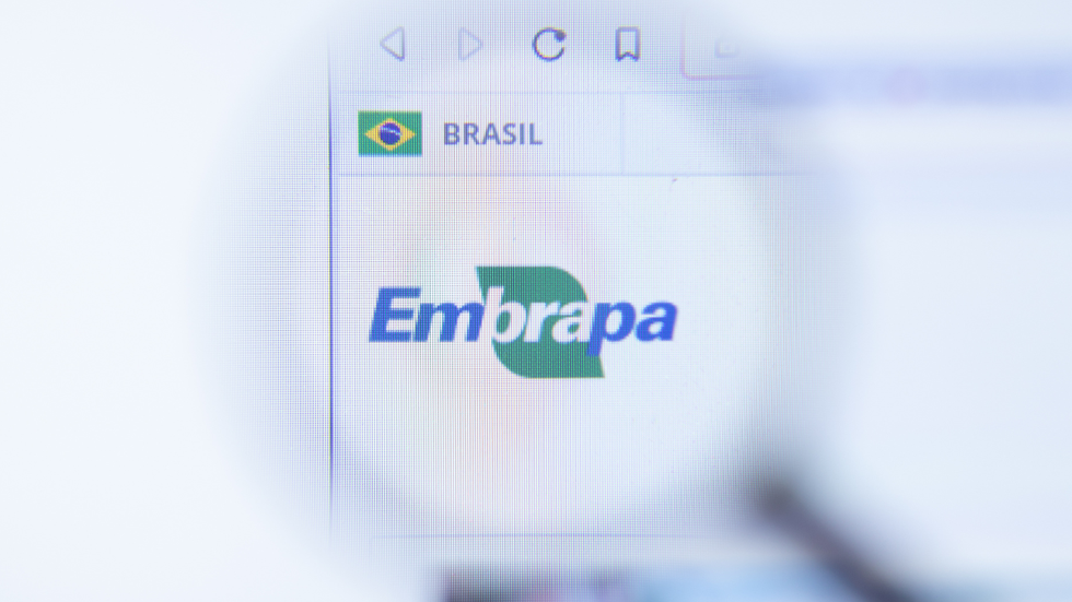 Confira o novo endereço das provas do concurso do Embrapa - Foto: Adobe Stock