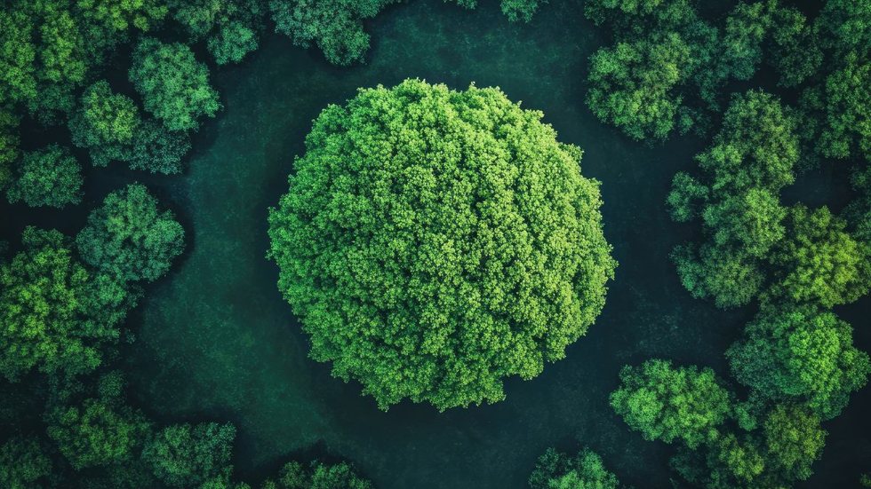 As inscrições vão até o dia 15 de maio. - Foto: Adobe Stock
