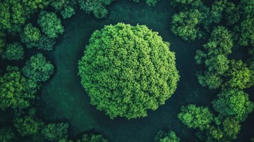 As inscrições vão até o dia 15 de maio. - Foto: Adobe Stock
