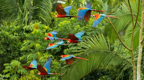 As inscrições vão até dia 06 de junho. - Foto: Adobe Stock