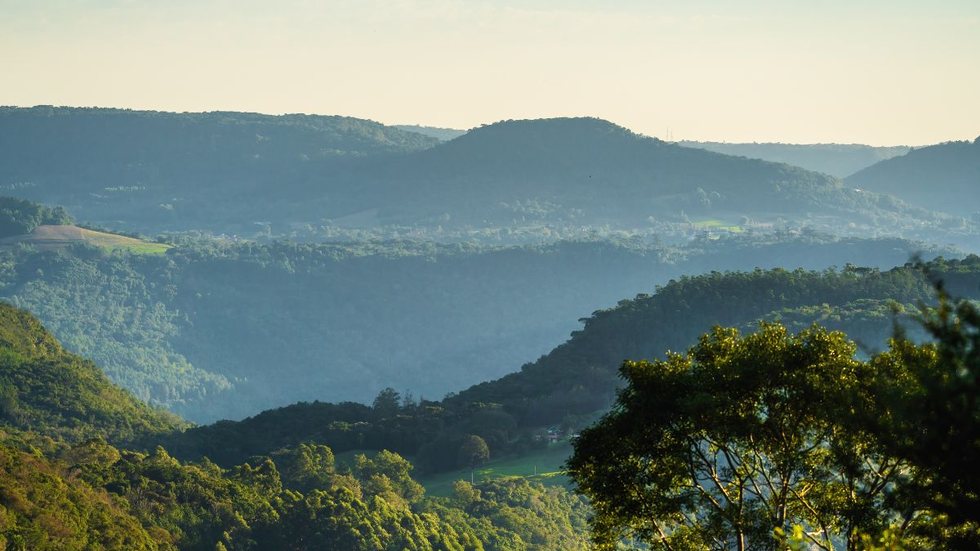 A inscrições vão até o dia 23 de maio. - Foto: Adobe Stock