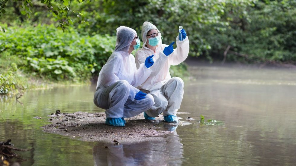 Veja este concurso no Pará - Foto: Adobe Stock