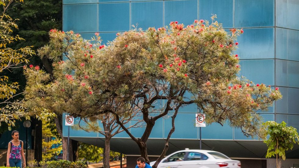 Veja este concurso em Minas Gerais - Foto: Adobe Stock