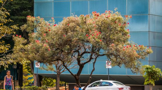Veja este concurso em Minas Gerais - Foto: Adobe Stock