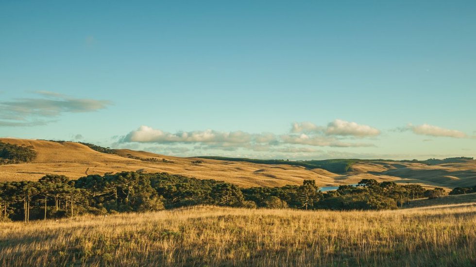 Em São Borja, há uma vaga para a área de Ciências Sociais Aplicadas – Relações Públicas. Já em Uruguaiana, a vaga é destinada à área de Enfermagem - Foto: Adobe Stock