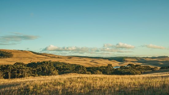 Em São Borja, há uma vaga para a área de Ciências Sociais Aplicadas – Relações Públicas. Já em Uruguaiana, a vaga é destinada à área de Enfermagem - Foto: Adobe Stock