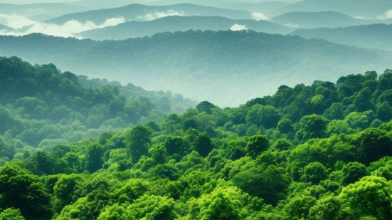 As inscrições vão até dia 13 de junho. - Foto: Adobe Stock