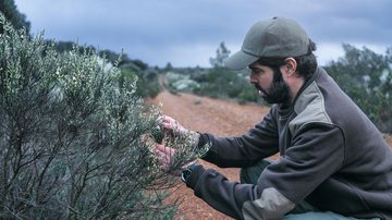 As inscrições vão até o dia 20 de junho. - Foto: Adobe Stock