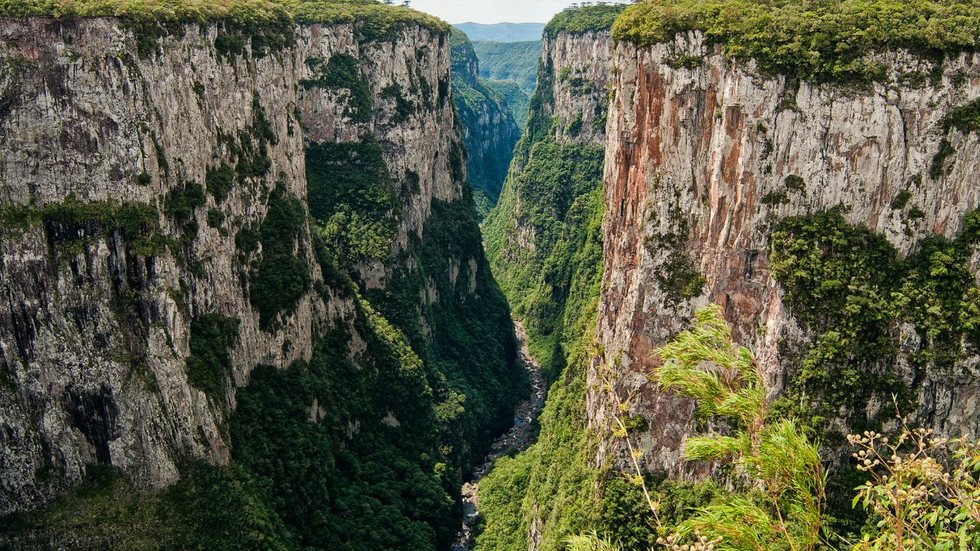 As inscrições vão até o dia 27 de junho. - Foto: Adobe Stock