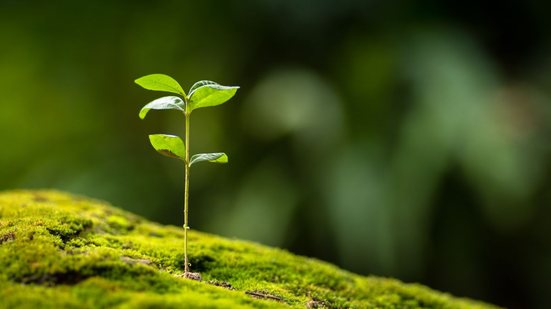 As inscrições vão até o dia 18 de junho. - Foto: Adobe Stock