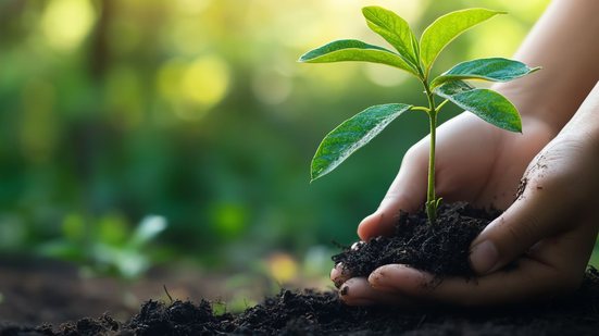 Connfira este concurso na ICMBio na Chapada dos Guimarães (MT) - Foto: Adobe Stock