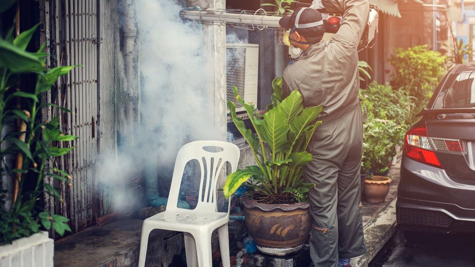 Confira este concurso público em Boa Esperança do Norte (MT) - Foto: Adobe Stock
